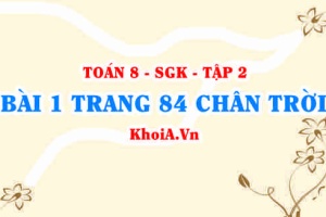 Bài 1 trang 84 Toán 8 Chân trời sáng tạo Tập 2